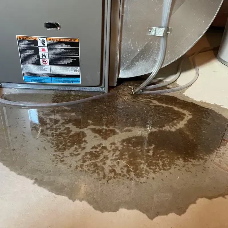 Appliance Leak Cleanup in Chenango County, NY